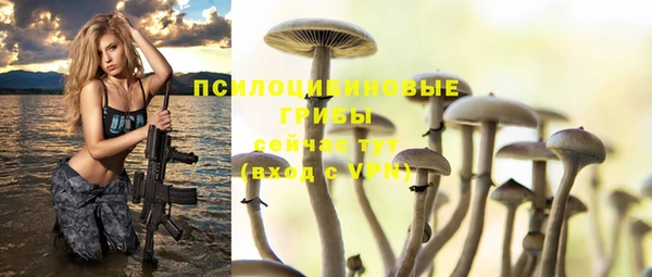 PSILOCYBIN Белоозёрский